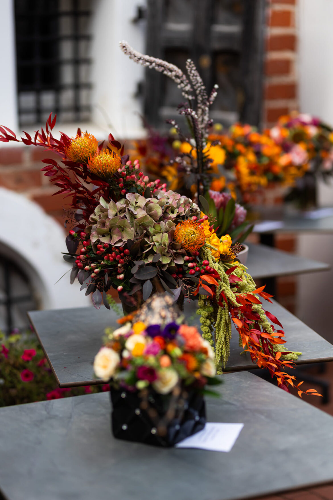 Rudens puokščių priežiūra