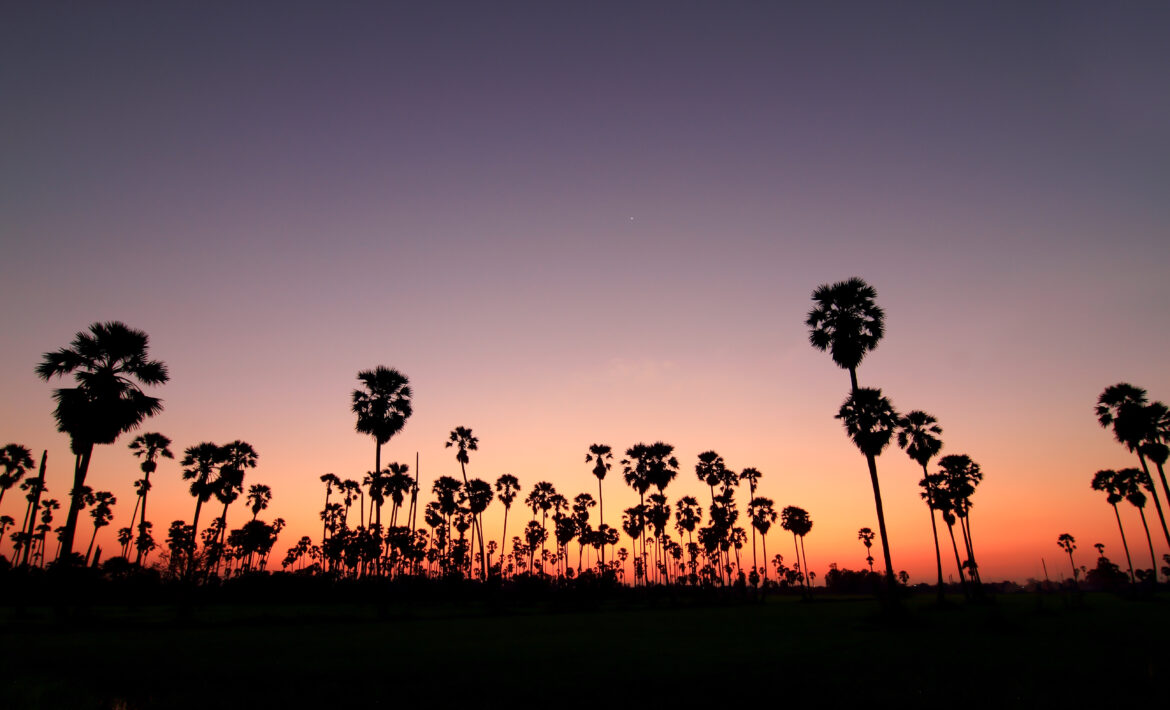 Kambodža: senovės šventyklų, tropinės gamtos ir šiuolaikinio gyvenimo derinys keliautojams