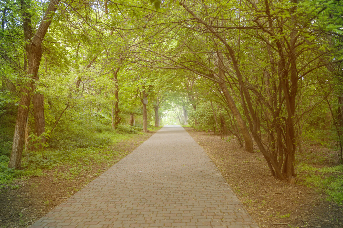 Neries pažintinis takas: maršrutas gamtos, kultūros ir ramybės mylėtojams