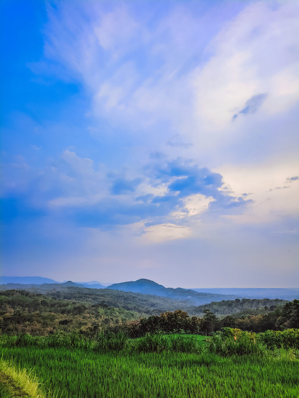 Uganda: gamtos įvairovė, kultūra, istorija ir tvaraus turizmo perspektyvos